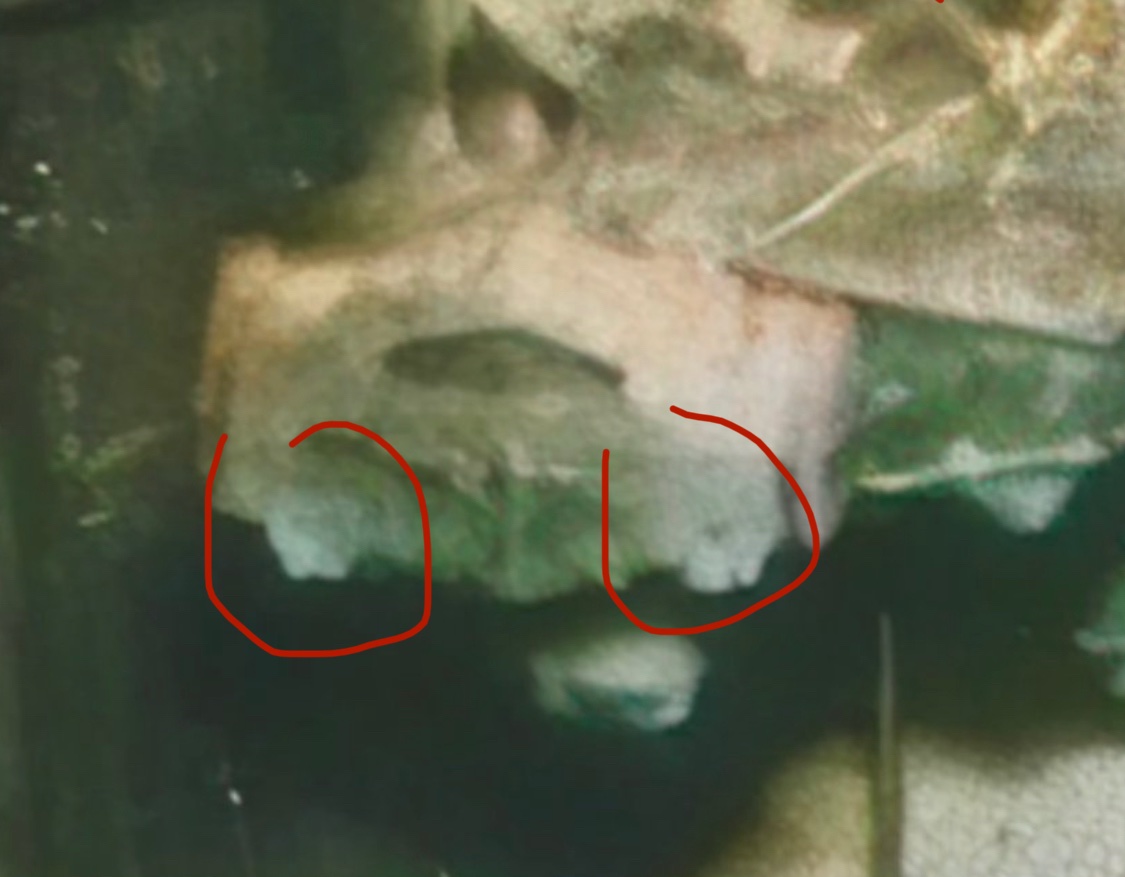 EC Henry tweet media