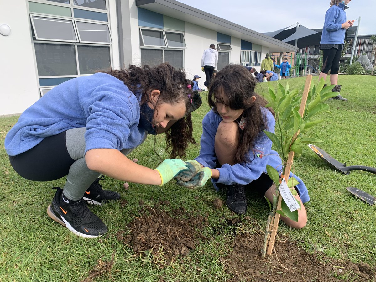 Stonefields School tweet media