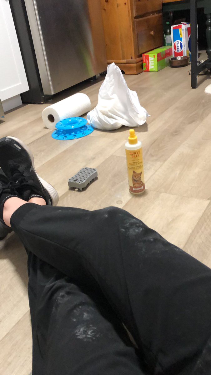 mustardbackpack's tweet photo. Needless to say, I subscribed to pretty litter https://t.co/THmg6XDBjM
