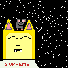 Square Face Cats tweet media