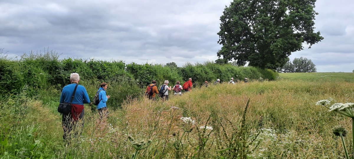 HfdWalking's tweet photo. A wonderful 'A Confusion of Mortimers' walk today.
10k loop walk from the Maidenhead Inn at Orleton.
Picking up the Herefordshire trail from Richards Castle to Orleton #followtheapple
14 x people
2 x churches
1 x tea and cake at the end #herefordshire #walking @VisitHfds https://t.co/02yNSjHP2O