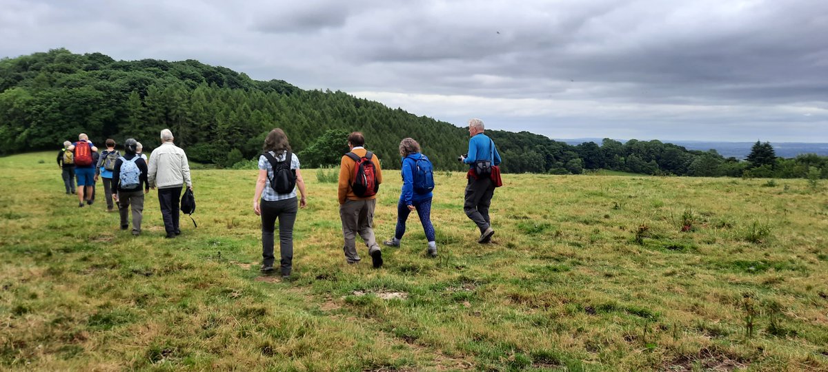 HfdWalking's tweet photo. A wonderful 'A Confusion of Mortimers' walk today.
10k loop walk from the Maidenhead Inn at Orleton.
Picking up the Herefordshire trail from Richards Castle to Orleton #followtheapple
14 x people
2 x churches
1 x tea and cake at the end #herefordshire #walking @VisitHfds https://t.co/02yNSjHP2O