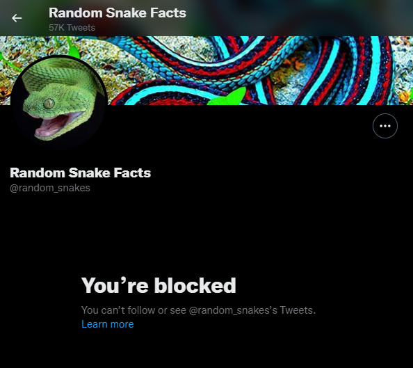 magellan36's tweet photo. @unknownalias47 @random_snakes wherever will I get my Random Snake Facts from now??? :((( https://t.co/6AwspLAgxr