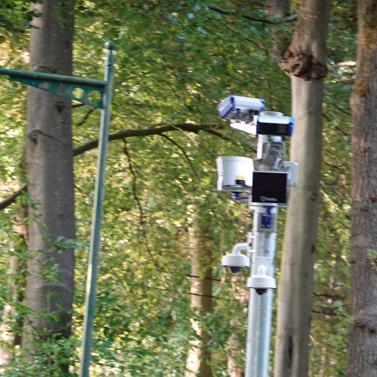 pgevaert's tweet photo. Deze uit de kluiten gewassen camera’s op een eenvoudige bosweg in Aalter overtreffen zelfs “George Orwell’s 1984” stoutste visioenen! https://t.co/XtDcR0SbIH