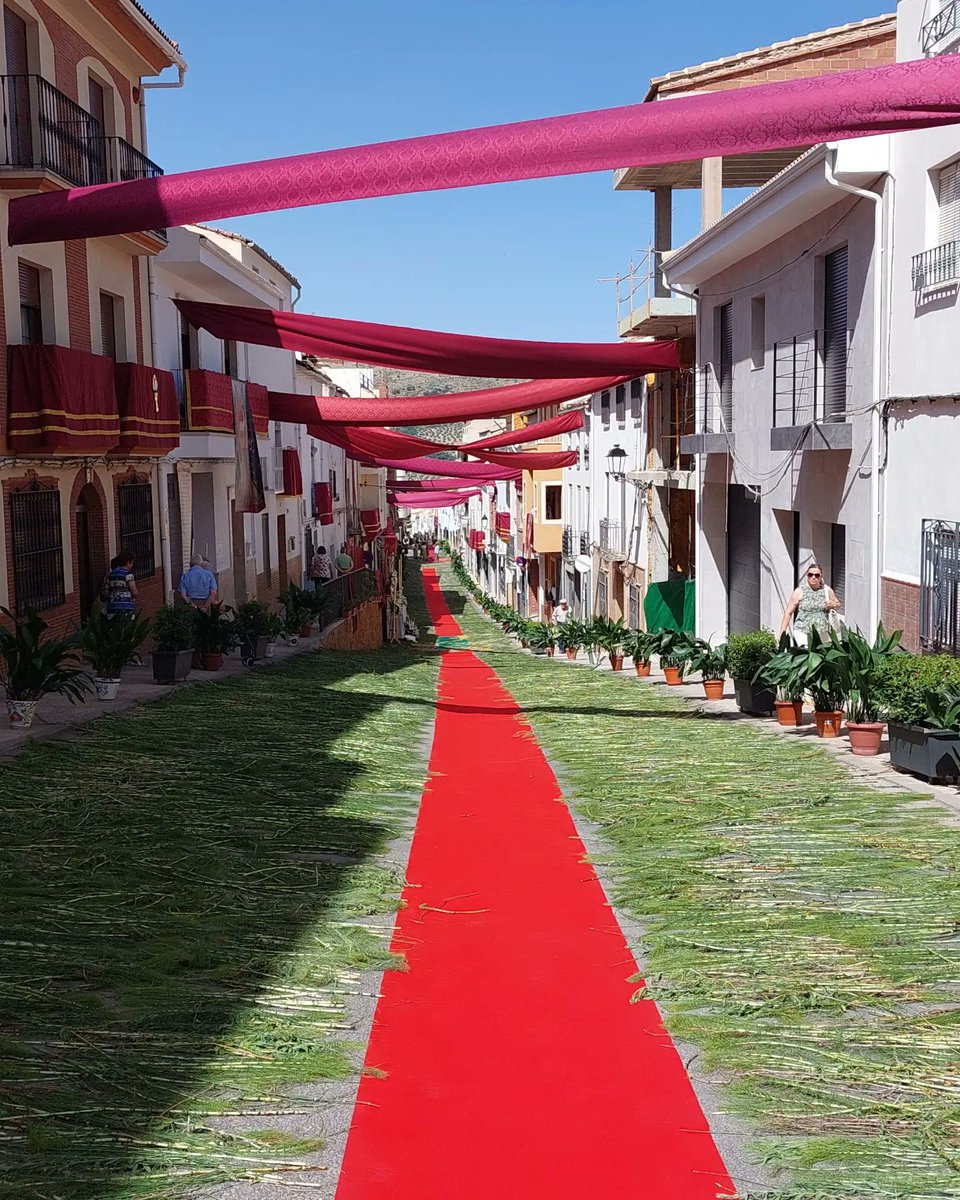 NietoJaenes's tweet photo. No me quiero ir a dormir hoy sin felicitar a las vecinas y vecinos que durante días han trabajado duro para dejar las calles de nuestro pueblo así de bonitas.

Estaban todas tan preciosas...

Gracias por vuestro trabajo ❤️

#CorpusChristi https://t.co/yMSTBLbJyw