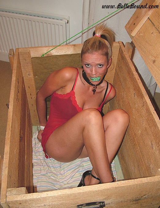 belle_bound's tweet photo. JOIN https://t.co/QBXdm4lCqX Lucy Zara Bound In A Box!!! - Lucy Zara has been bound, collared an gagged before being ordered to get in the box! She is one dissatisfied girl being made to squeeze her long legs in to that crate, but is not like she has a choice in the matter! https://t.co/MzMNfSK7Up