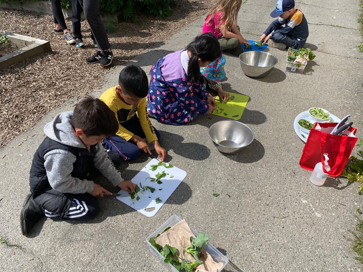 Another year of Week Without Walls was a huge success! Students in Div. 5, 12, &amp; 13 spent 100% of their week learning outside! Students spent the week exploring the 4 elements and had the chance to garden, walk to the dyke, and even try some outdoor cooking!