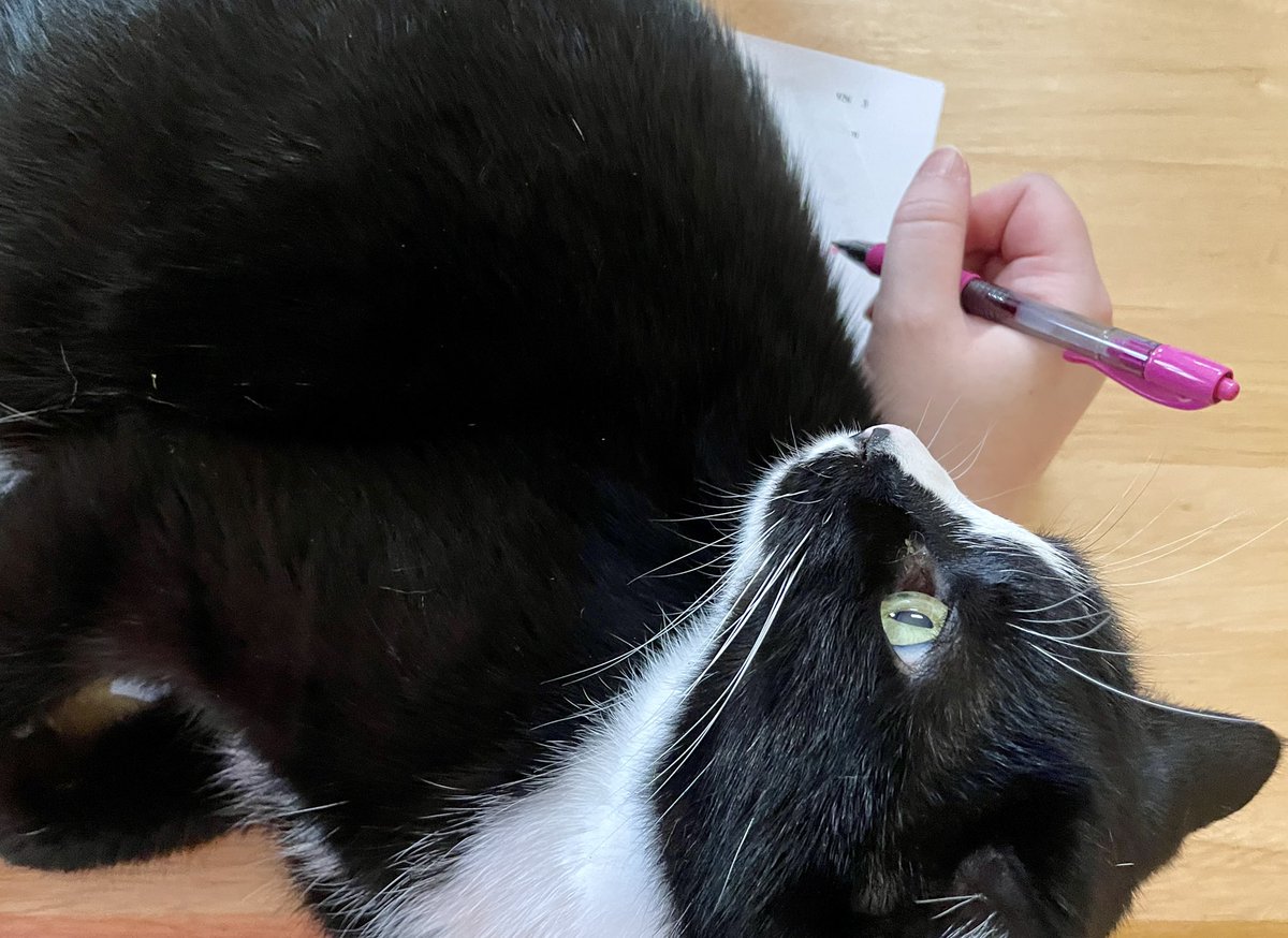 LauraLNagle's tweet photo. #amediting #amtryingtoedit #ambeingsabotagedbyacat https://t.co/N48t4bu3fj