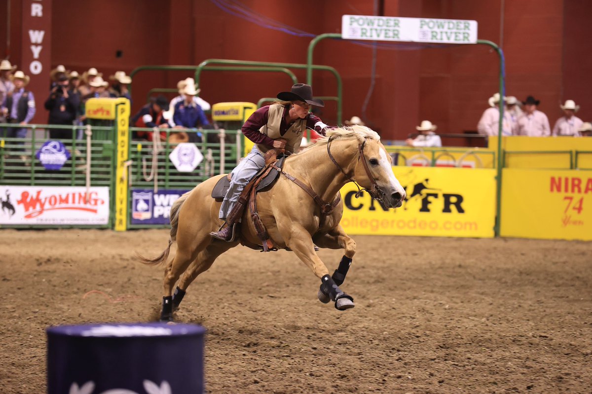 _brittastrainn's tweet photo. CNFR 2022 on Golden Cloud ⛅️ https://t.co/olSPEHWUzx