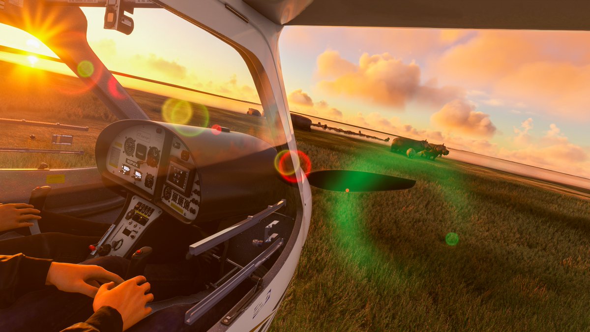 cmdrexorcist's tweet image. Hippos on the shores of Lake Chad in @MSFSofficial. #MSFlightSim #MSFS2022 #VirtualPhotography