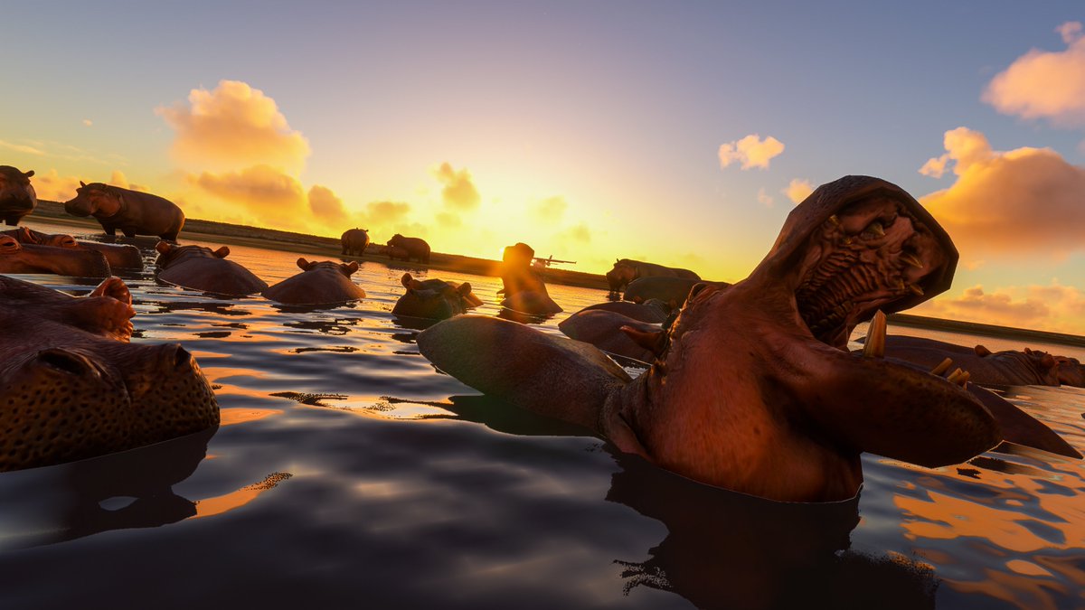 cmdrexorcist's tweet image. Hippos on the shores of Lake Chad in @MSFSofficial. #MSFlightSim #MSFS2022 #VirtualPhotography
