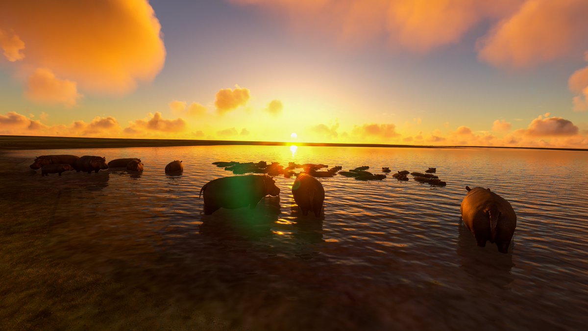 cmdrexorcist's tweet image. Hippos on the shores of Lake Chad in @MSFSofficial. #MSFlightSim #MSFS2022 #VirtualPhotography