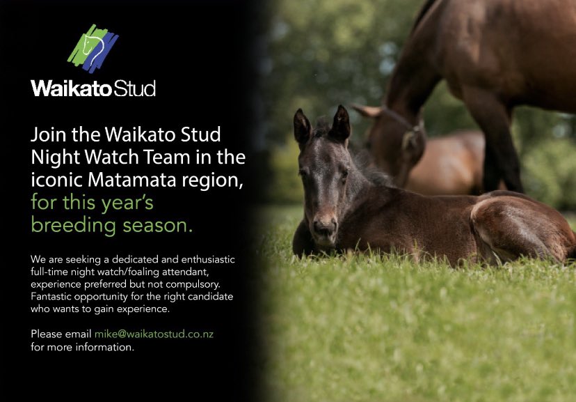Have you applied yet? 

We currently have a fantastic opportunity for a Night Watch / Foaling Attendant to join the WS team for the upcoming season 🐎. Whilst experience is preferred, we're happy to teach the right candidate. Email mike@waikatostud.co.nz to apply.