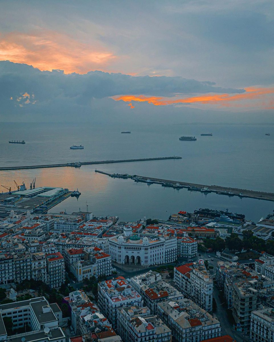 Discover Algeria 🌍 tweet media