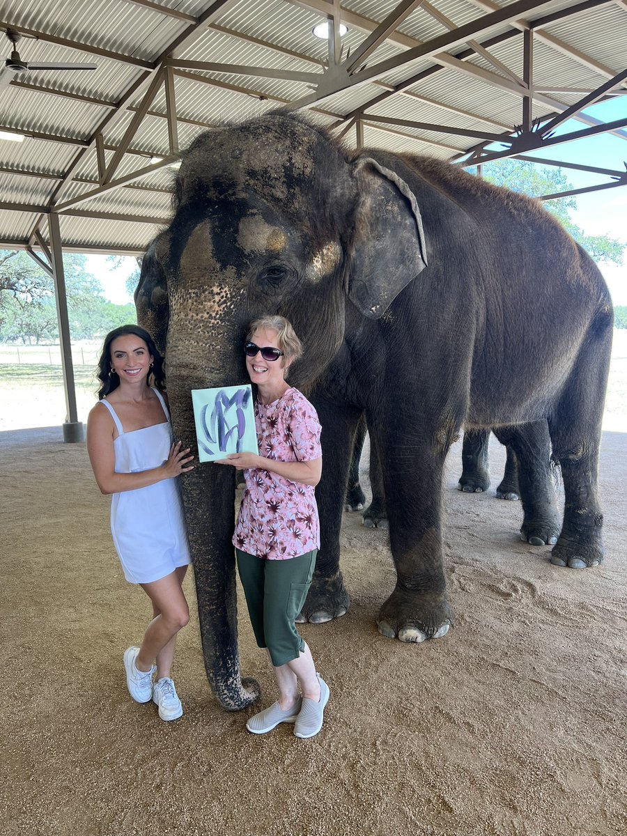 Emily Giangreco tweet media