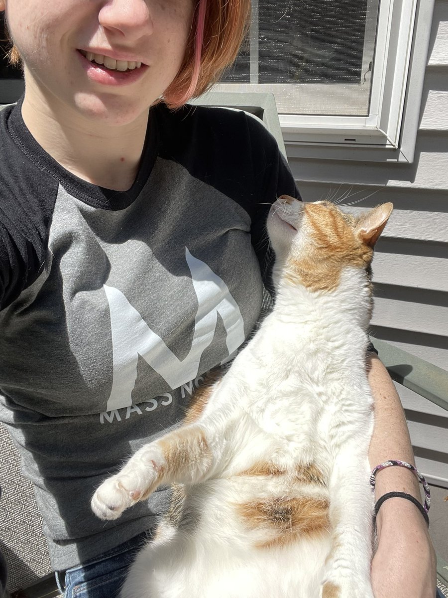 OatmealYour's tweet photo. Your daily oatmeal is sunning her tummy #CatsOfTwitter #CalicoCrew https://t.co/YdXiQ4PkQv