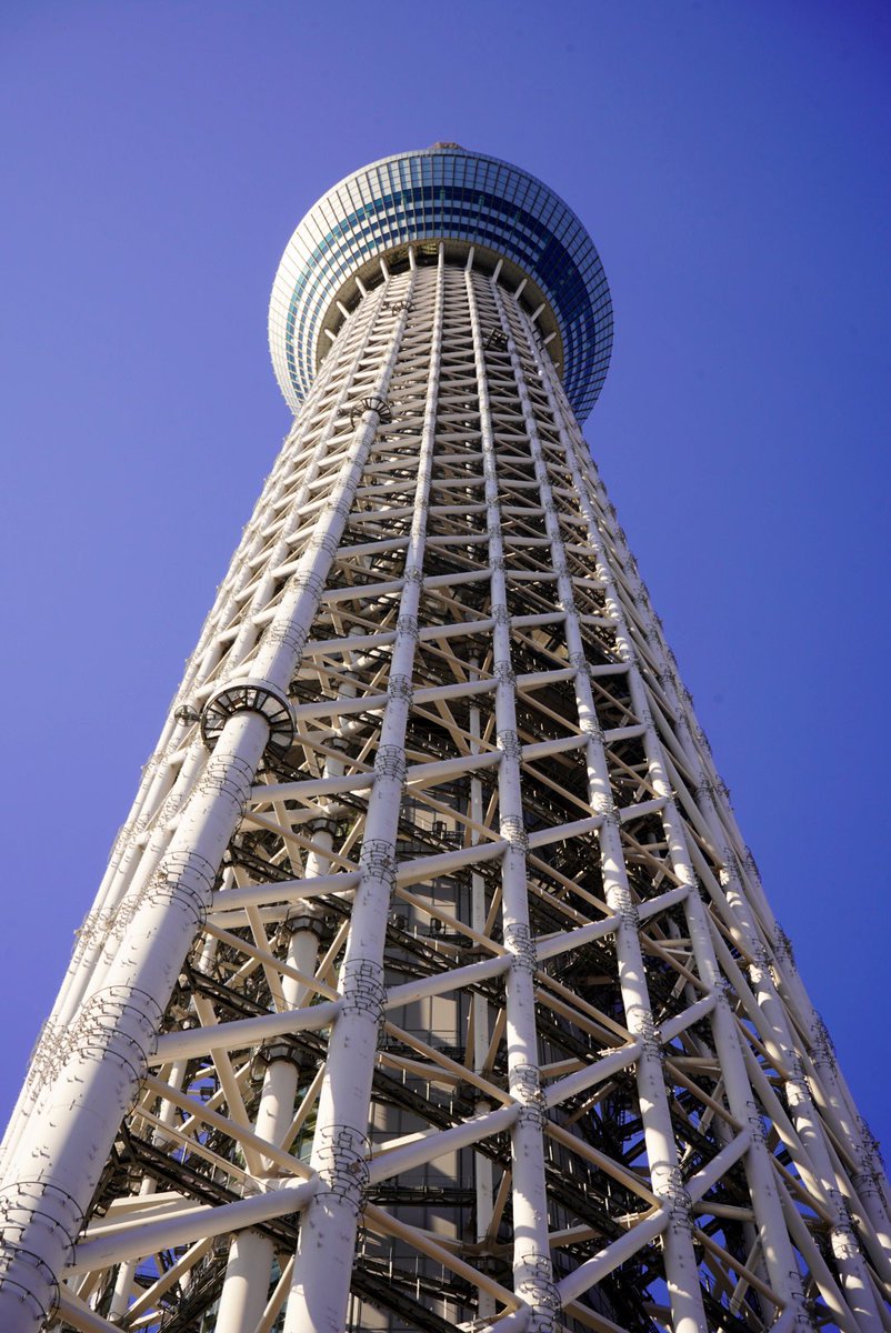 「いろんな角度から見てみよう」 〜スカイツリー編〜 No.4 日本で一番高い建物を下から見るとこうなります！ 今週もよろしくお願いします😌✨