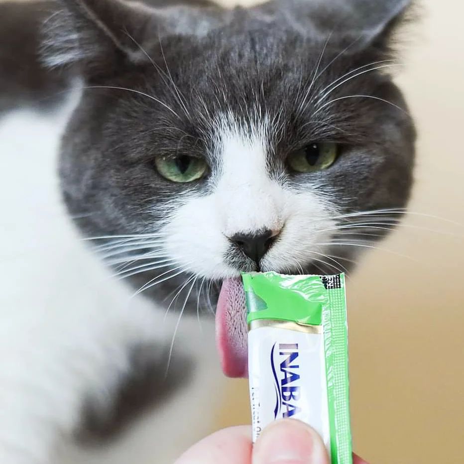InabaChuru's tweet photo. I'm not impressed that the weekend is over already.
πΈ: hakuna_mapawpaw on IG
#weekendsover #notimpressedcat #churulover #treatsplease #catsofinstagram #zazucatto https://t.co/Gc3w24FWtK