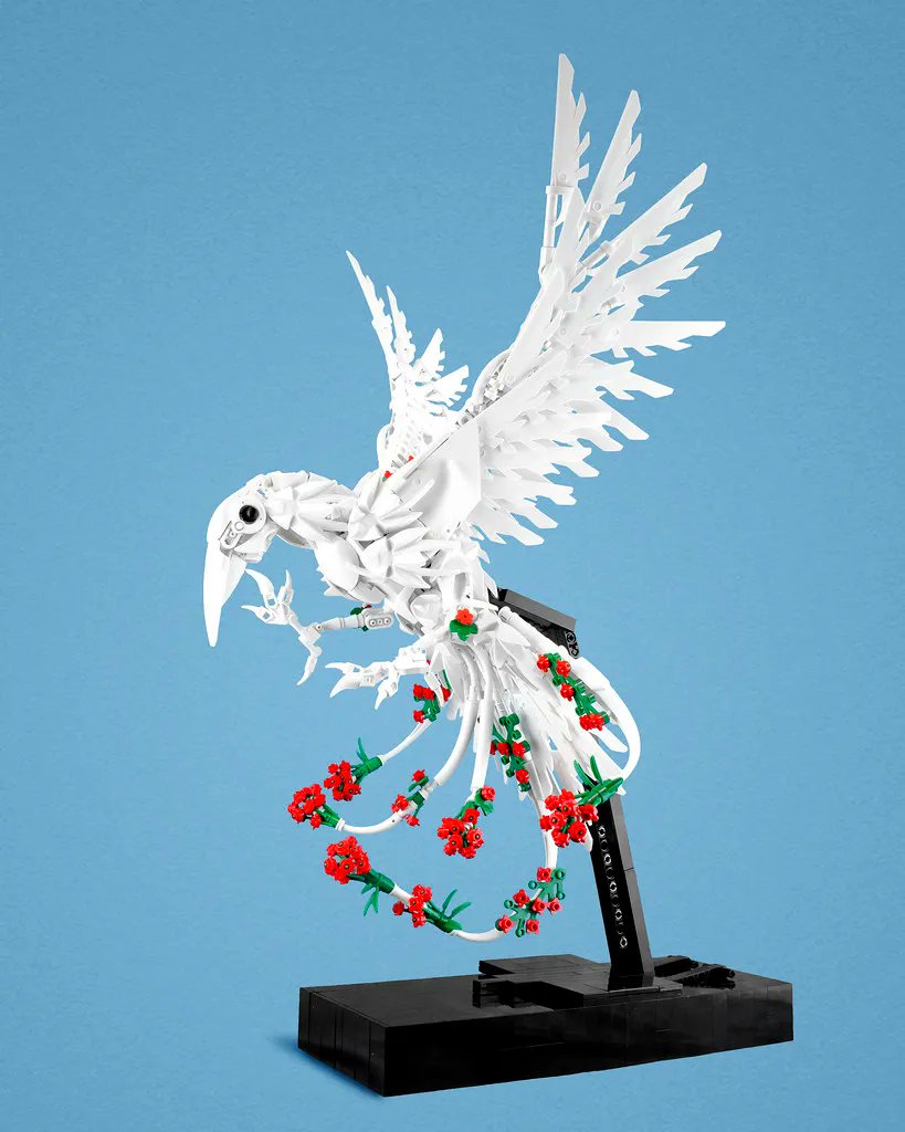 InspiringMocs's tweet photo. She flies with her own wings by Patrick Biggs
https://t.co/LVb4fVftwH https://t.co/AGZzWhyXMz