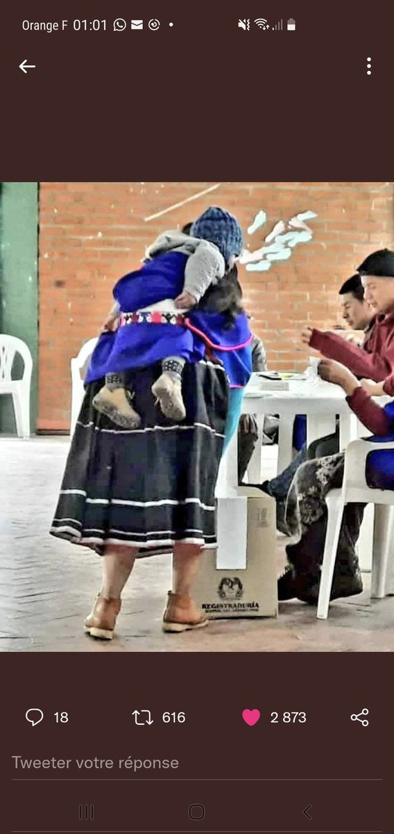 luigiedu1's tweet photo. La foto más bella de hoy 🤗👍🕊️🇨🇴😍❤️#vivalavida https://t.co/Lysdo4sQVV