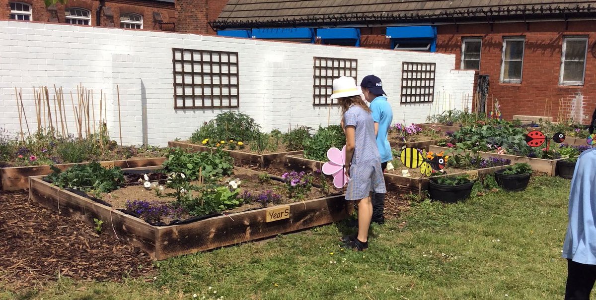 Newington Garden is starting to bloom. <a href="/wearenewington/">Newington Academy</a> <a href="/CNicholson_Edu/">Craig Nicholson</a>