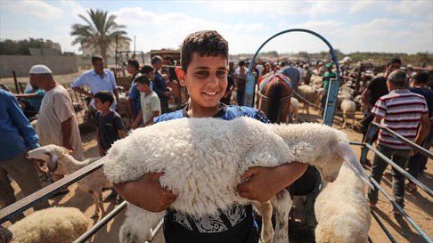 AssociationGaza's tweet photo. Please help gaza 

https://t.co/mpvPF60wRP https://t.co/YL4NS7xkc2