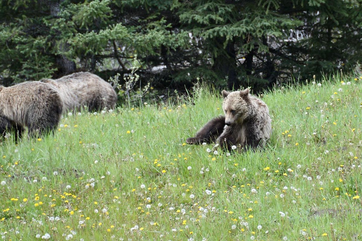 superfunkomatic's tweet image. Father’s Day Ride