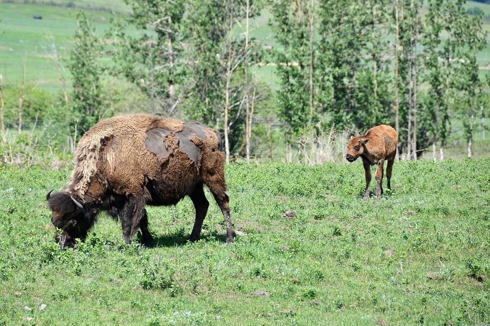 superfunkomatic's tweet image. Father’s Day Ride