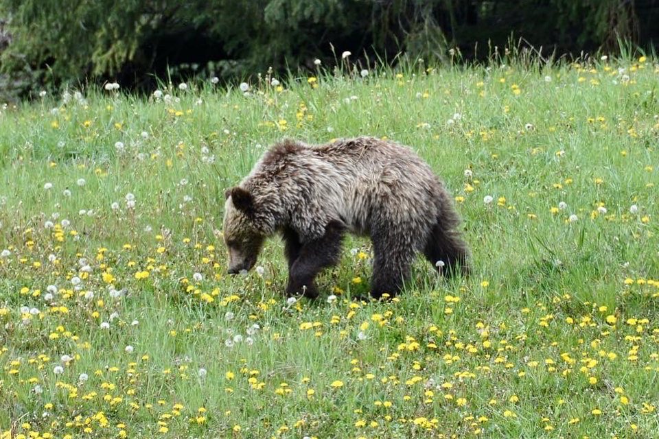 superfunkomatic's tweet image. Father’s Day Ride