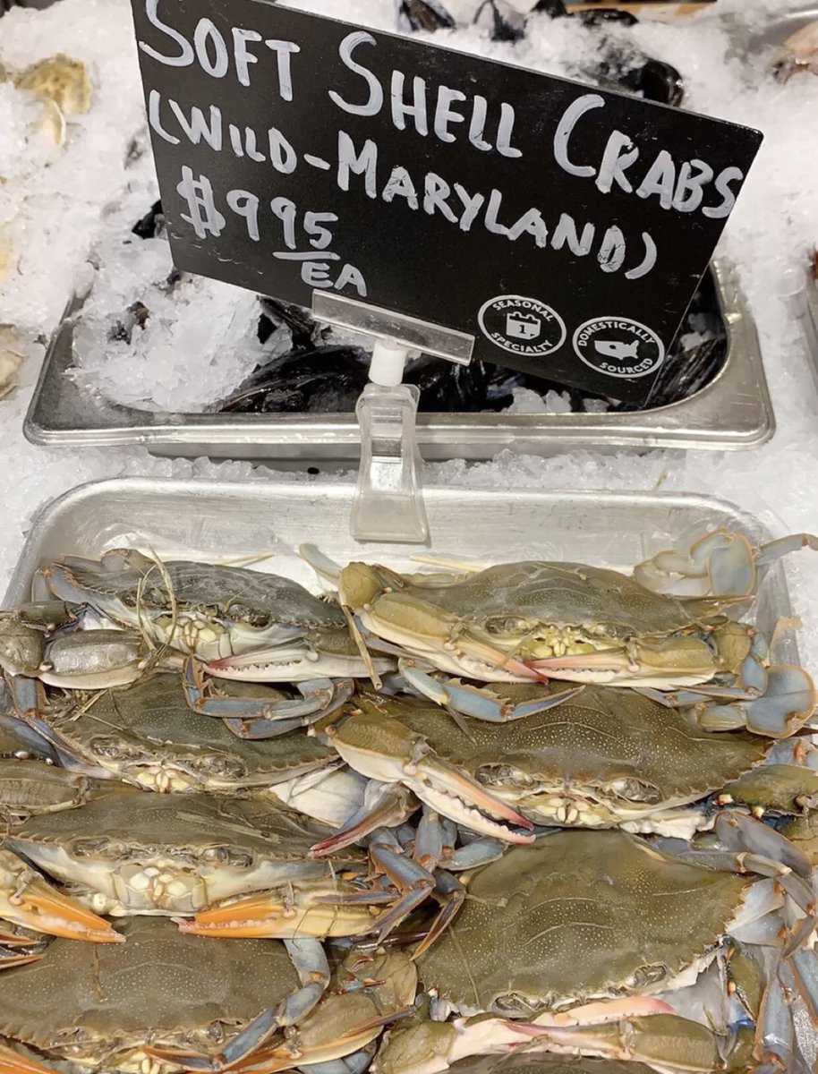 Rosa070785's tweet photo. Chelsea's shrimp are like they just "bathed"
#Lobster #Crab https://t.co/jcqYXvnHwY