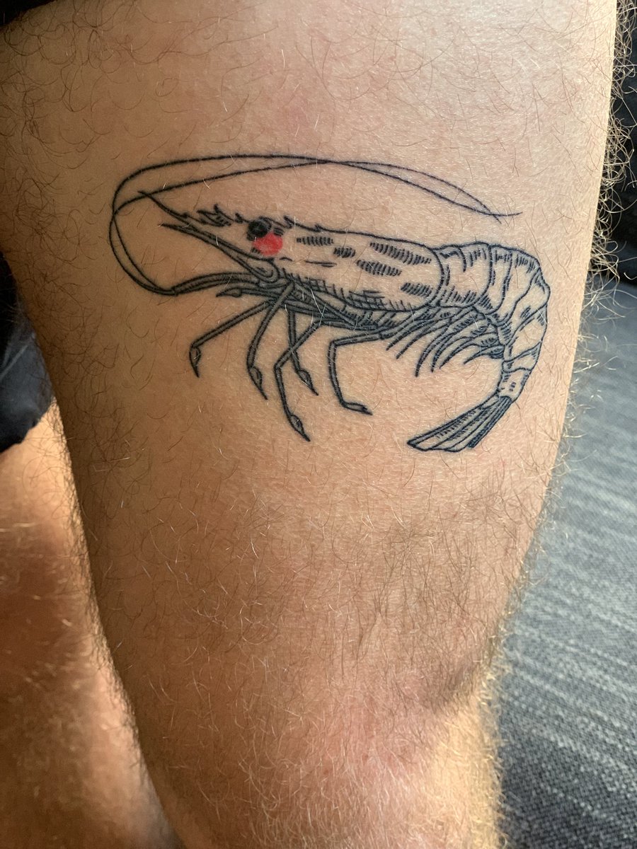 CurtHamid's tweet photo. @damonayoung Prawn https://t.co/mOfdTNSIMo