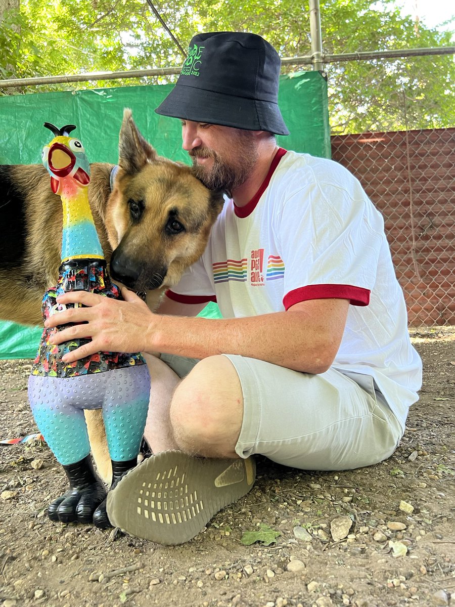 austinpetsalive's tweet photo. Everybody loves @pollofcATX and @AustinFC Honorary Mascot Fotis! They want you to help save #shelter pets at @austinpetsalive by donating now to #RaiseADayForAPA! Click on the #LinkInBio now to have your gift DOUBLED! #AustinFC #Verde #RaiseADayForAPA! #AdoptDontShop #PolloFC https://t.co/ZAVlXiQ7Kr