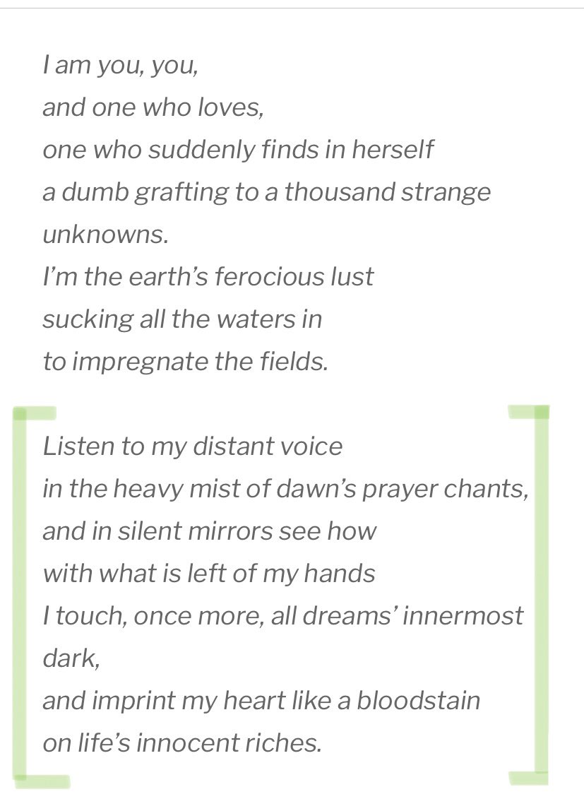 inkteas's tweet photo. forugh farrokhzad and her intimate understanding of the heart, it’s burden, it’s blessing https://t.co/8M37VBTpeP