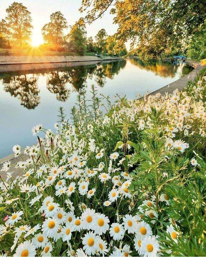 amaraa12n's tweet image. Сайхан өглөөний мэнд ээ 
Шинэхэн 7 хоногийн ажил үйлс нь өөдрөг бүтэмжтэй байгээ