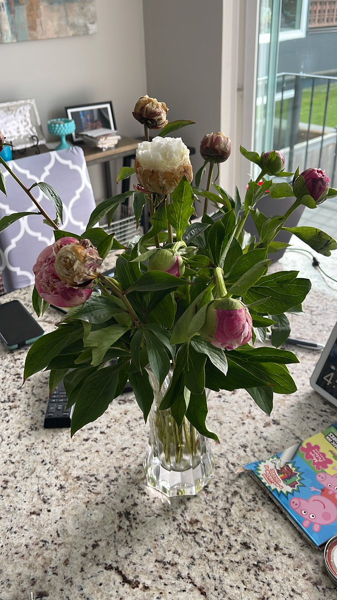 EmilyTurpen's tweet photo. @MetMarket these are a week old. Already dead. So frustrating considering it was $32 for these https://t.co/M9Ij5Eo43d