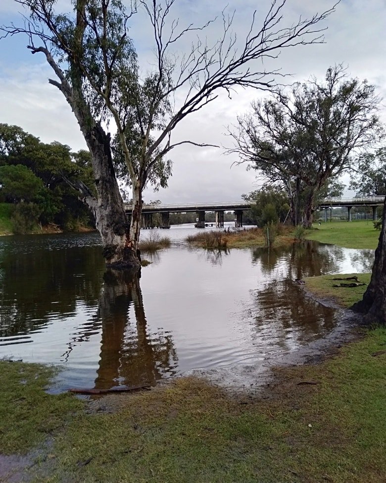 vcmperth's tweet photo. https://t.co/hmqiJJy91y 
August 14th at Lilac Hill

#avondescent #eventsintheswanvalley #myswanvalley https://t.co/6soIymnGe7