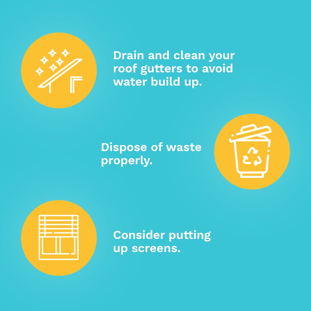 KwikInsure's tweet photo. This Dengue season, it is better to be knowledgeable about it. Here are some Kwik Tips for you to avoid mosquitoes around you.

For more useful information about health related details, pay us a visit at https://t.co/Vpuy7ik3lk https://t.co/fcmiH9G6RS