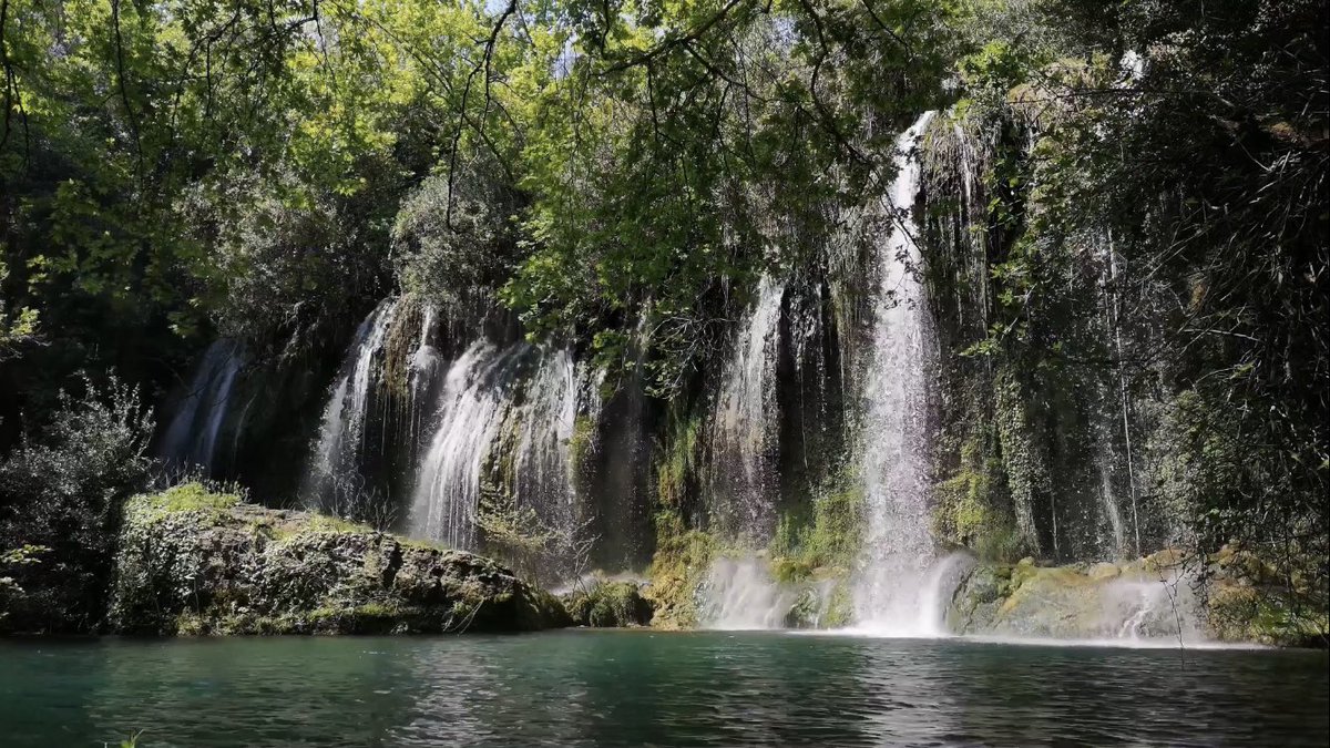 ZenFitLife's tweet image. Peaceful Ambient Waterfall Sounds 20 minute meditation 
youtu.be/WF2Xrrdth_k
#waterfall #waterfallsounds #waterfallmusic #peaceful #ambience #nature #zen #zenfitlife #meditation #water