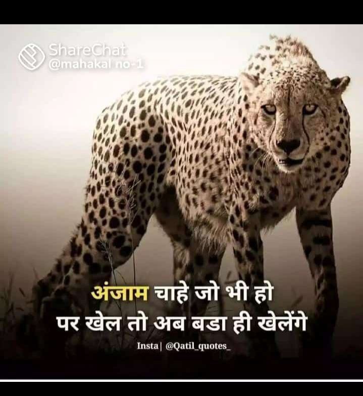 AjayKan57490092's tweet photo. #Declare_LOWERPCS2019_FinalResult 
@kpmaurya1 
@myogiadityanath 
@myogioffice 
@BJP4India 
Lower Pcs Final result upsssc
Lower Pcs Final result upsssc
Lower Pcs Final result upsssc
Lower Pcs Final result upsssc
Lower Pcs Final result upsssc
Lower Pcs Final result upsssc https://t.co/HhuHLekmS2