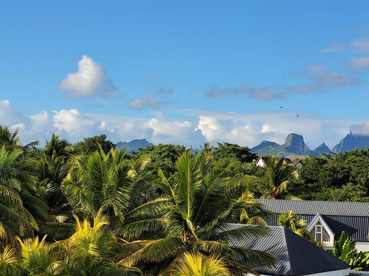 Jakob Puchinger tweet media