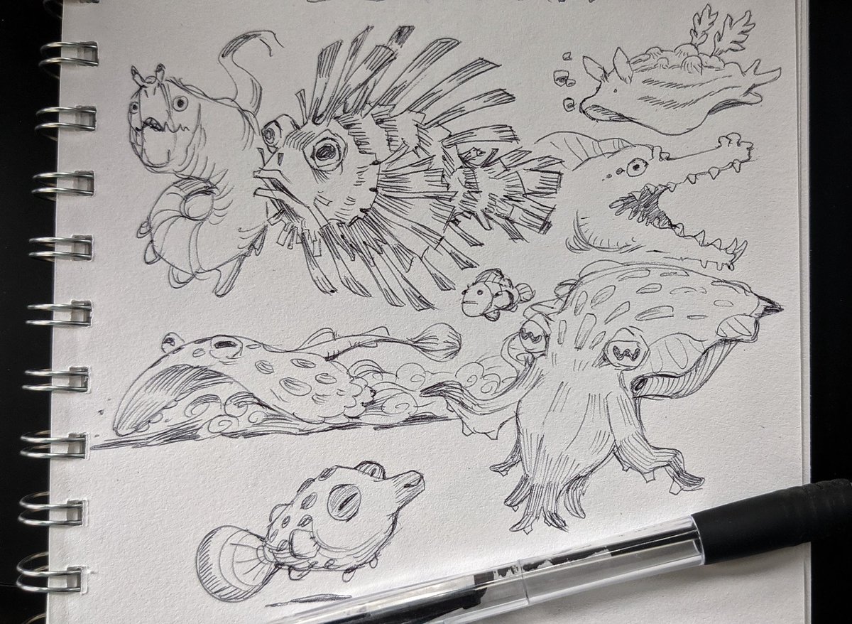 more pen drawings from last week; inspired by creatures seen on recent dives! breaking in a new sketchbook, first one I've owned since school... 😬