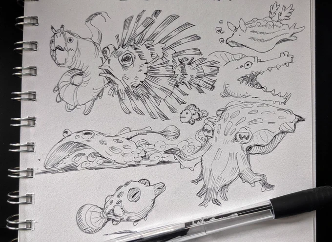 more pen drawings from last week; inspired by creatures seen on recent dives! breaking in a new sketchbook, first one I've owned since school... 😬 