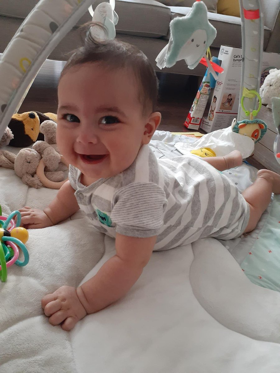 Peter Fragiskatos tweet media