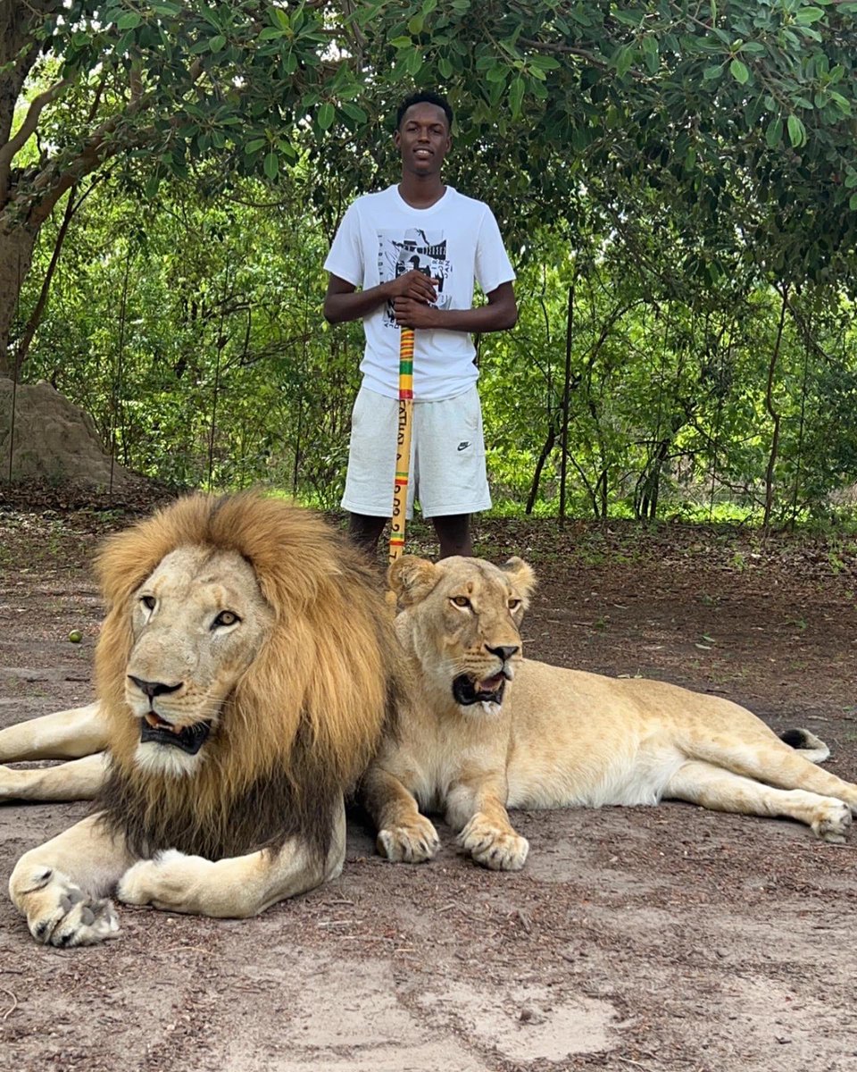 bandi_guinea tweet media