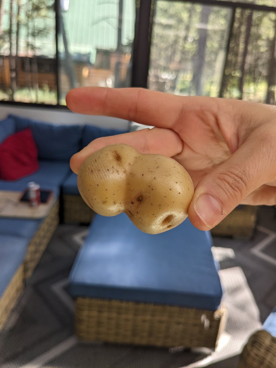 Vegetables are weird #VEGETABLES #funnyvegetables #rudevegetables #dirtyvegetables