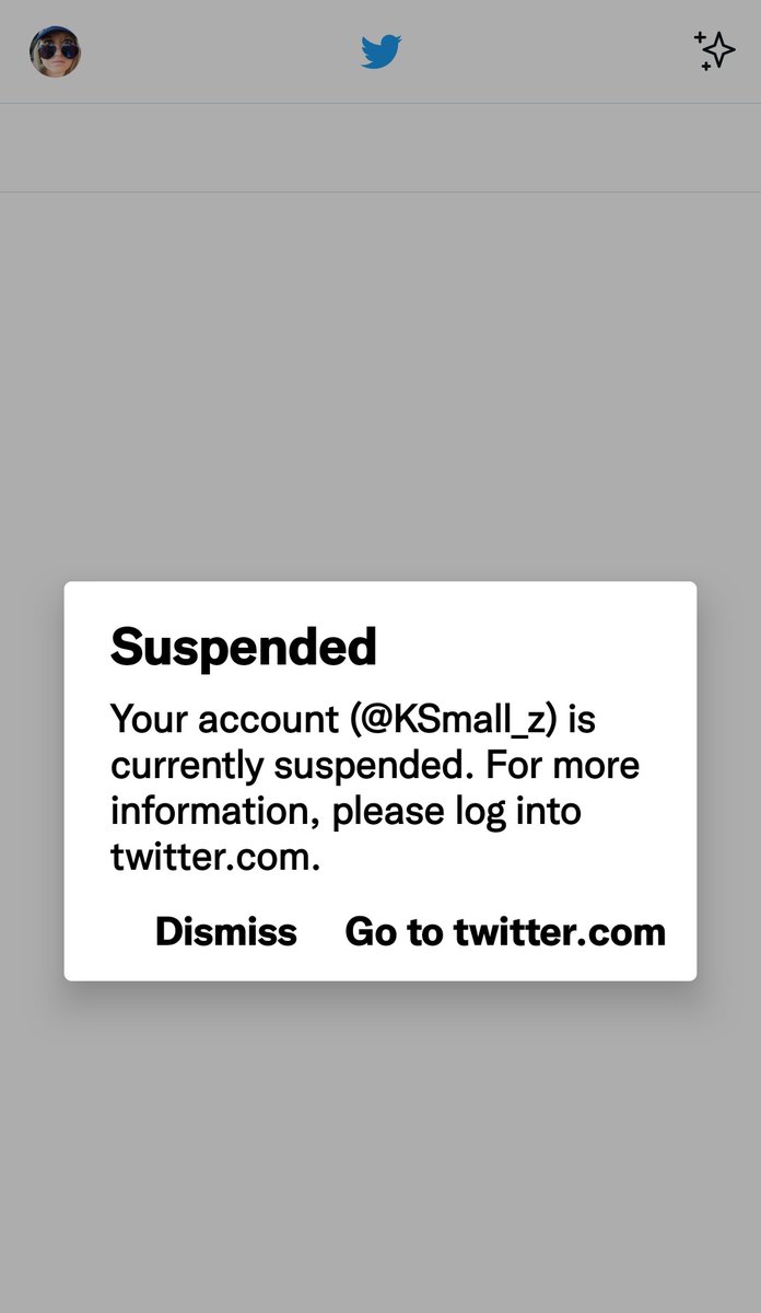KSmalls1984's tweet photo. May I ask who is in charge of The #Twitter now? What if you have evidence showing your Twitter account was indeed hacked? Can I please speak to a REAL person and not some AI garbage? My @KSmall_z account did nothing wrong 2 get suspended indefinitely. Please RT https://t.co/JZLi1YUf2E