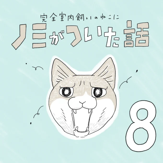 月・火更新中〜!完全室内飼いのねこにノミがついた話⑧かゆいカユイKAYUI 