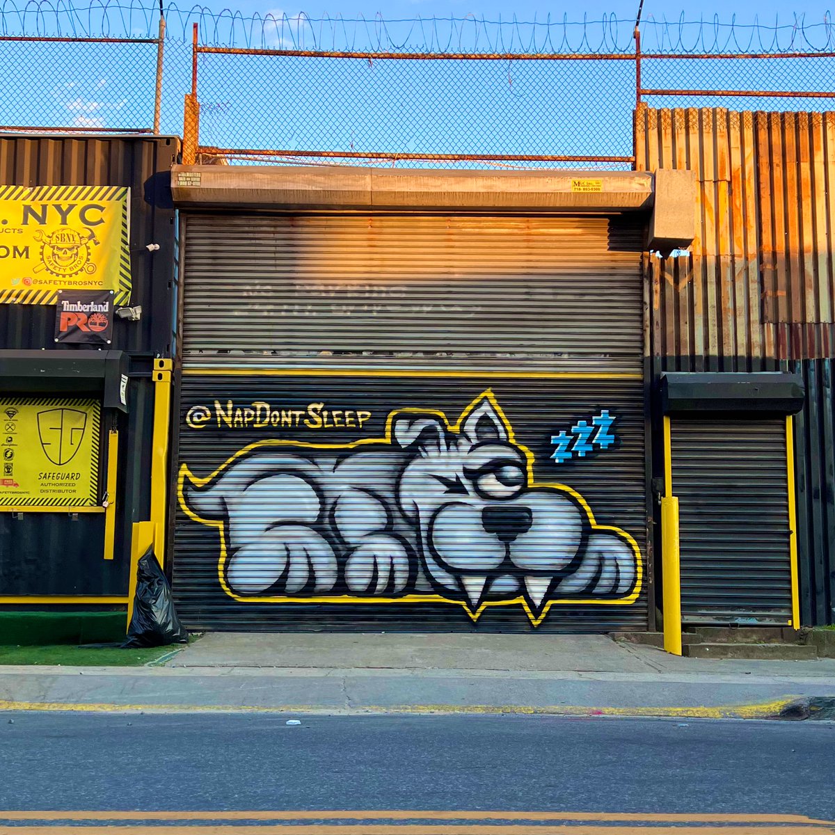 A familiar pup has popped up across from <a href="/elsewherespace/">𝚎 𝚕 𝚜 𝚎 𝚠 𝚑 𝚎 𝚛 𝚎</a>