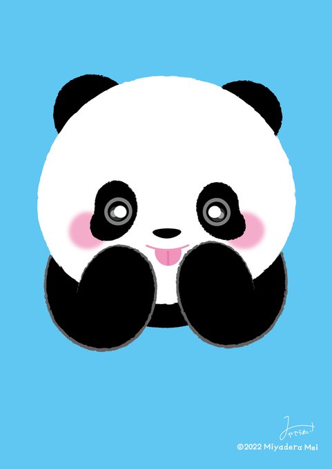 パンダのtwitterイラスト検索結果 パンダのtwitterイラスト検索結果