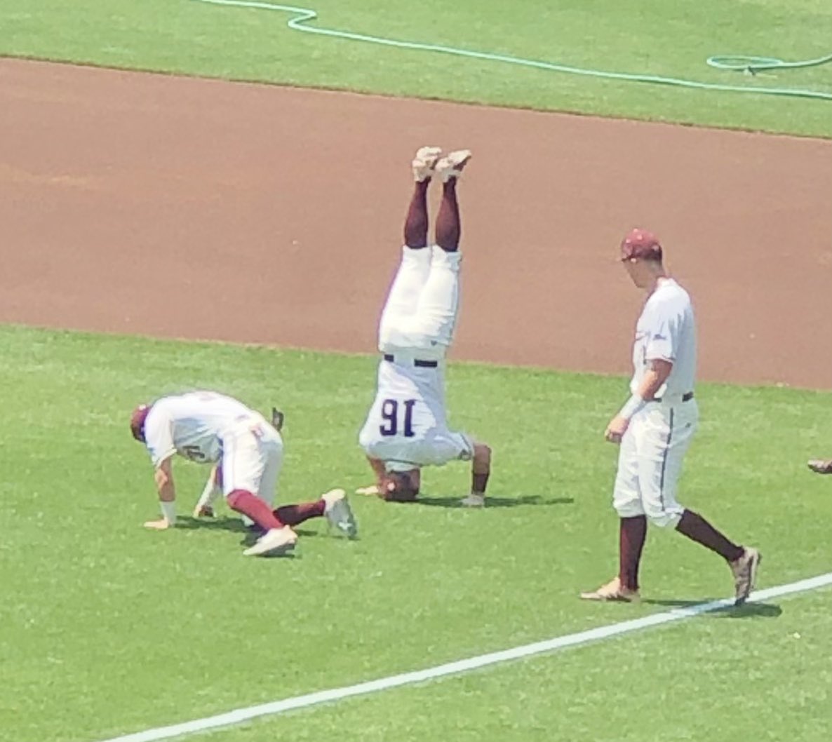 txtomster's tweet photo. Aggies will stand on their heads for a victory today! #MCWS Gig ‘Em, Ags! https://t.co/1t8JCkgdON